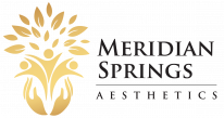 Meridian Springs Aesthetics